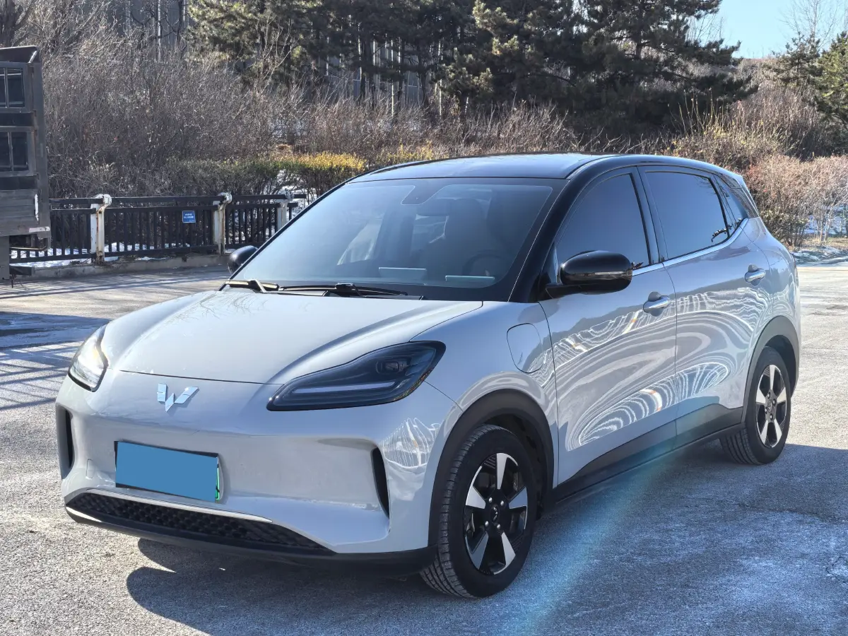 2024 WuLing BinGuoPLUS BEV 50.6KWH