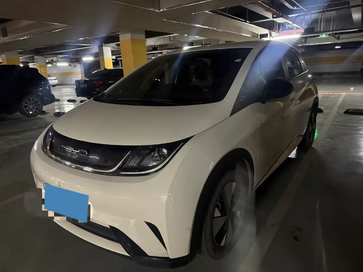 2023 BYD Dolphin BEV 44.928KWH