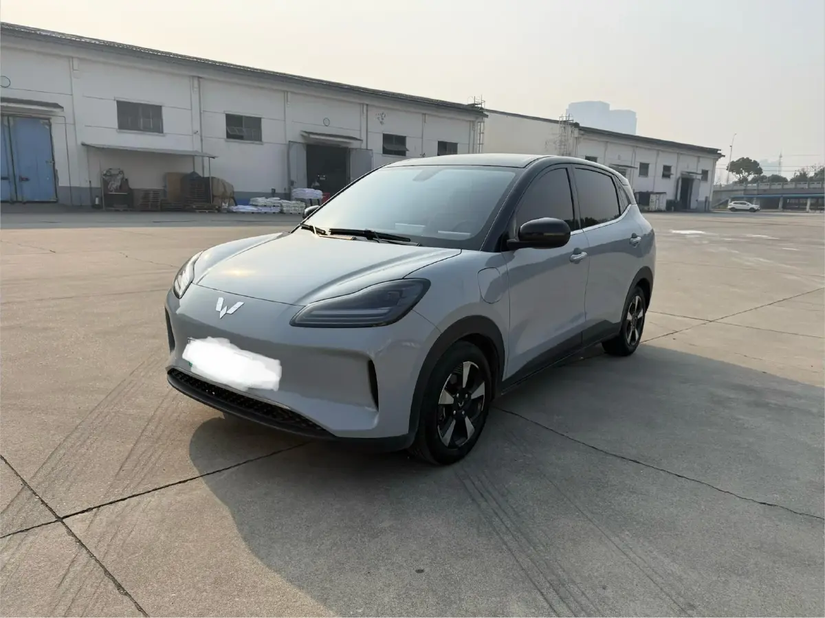 2024 WuLing BinGuoPLUS BEV 37.9KWH