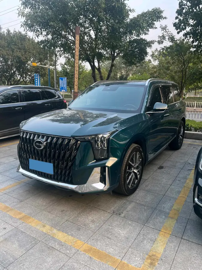 2022 GAC Trumpchi GS8 2.0T 252HP L4 8AT