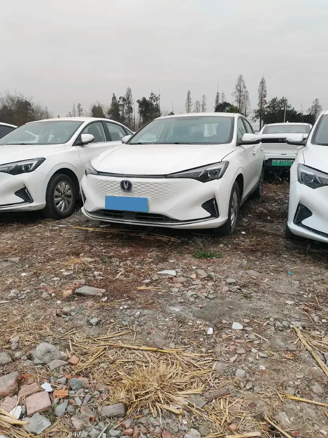 2022 ChangAn Eado BEV 47.78KWH