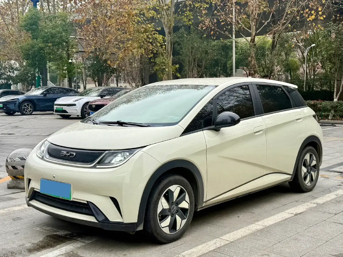 2024 BYD Dolphin BEV 44.928KWH