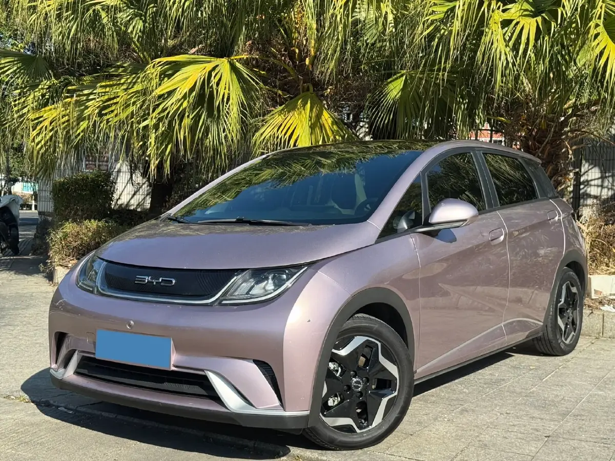 2021 BYD Yuan Pro BEV 50.1KWH