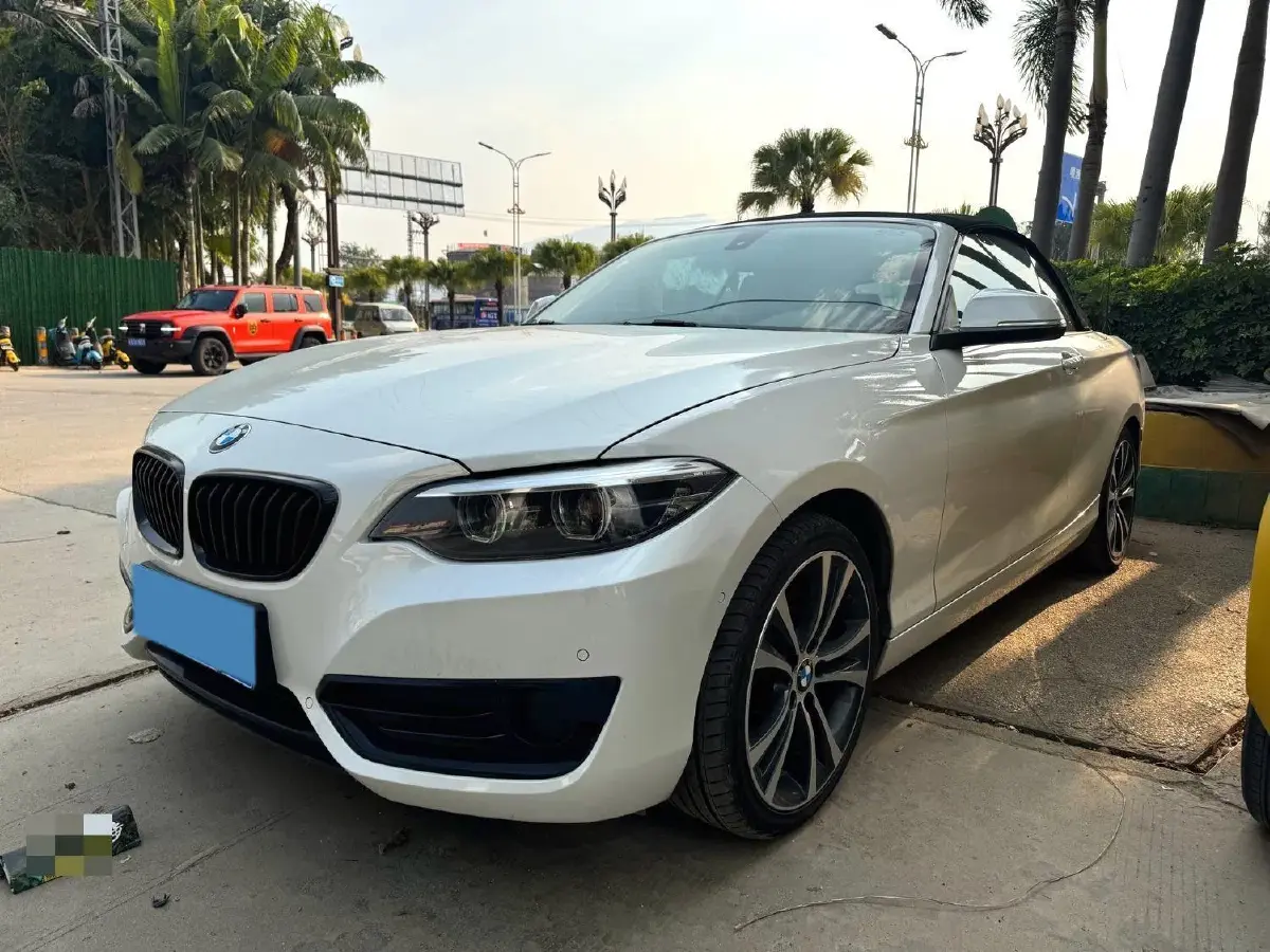 2019 BMW 2 Series 2.0T 184HP L4 8AT