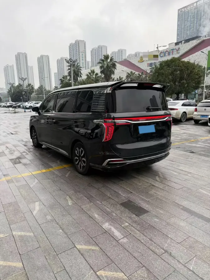 2023 HongQi HQ9 2.0T 252HP L4 8AT,autocango,china used car exporter,china ev exporter,chinese used car exporter,chinese used ev exporter