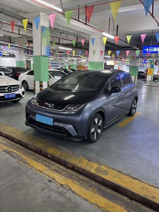 2023 BYD Dolphin BEV 44.928KWH