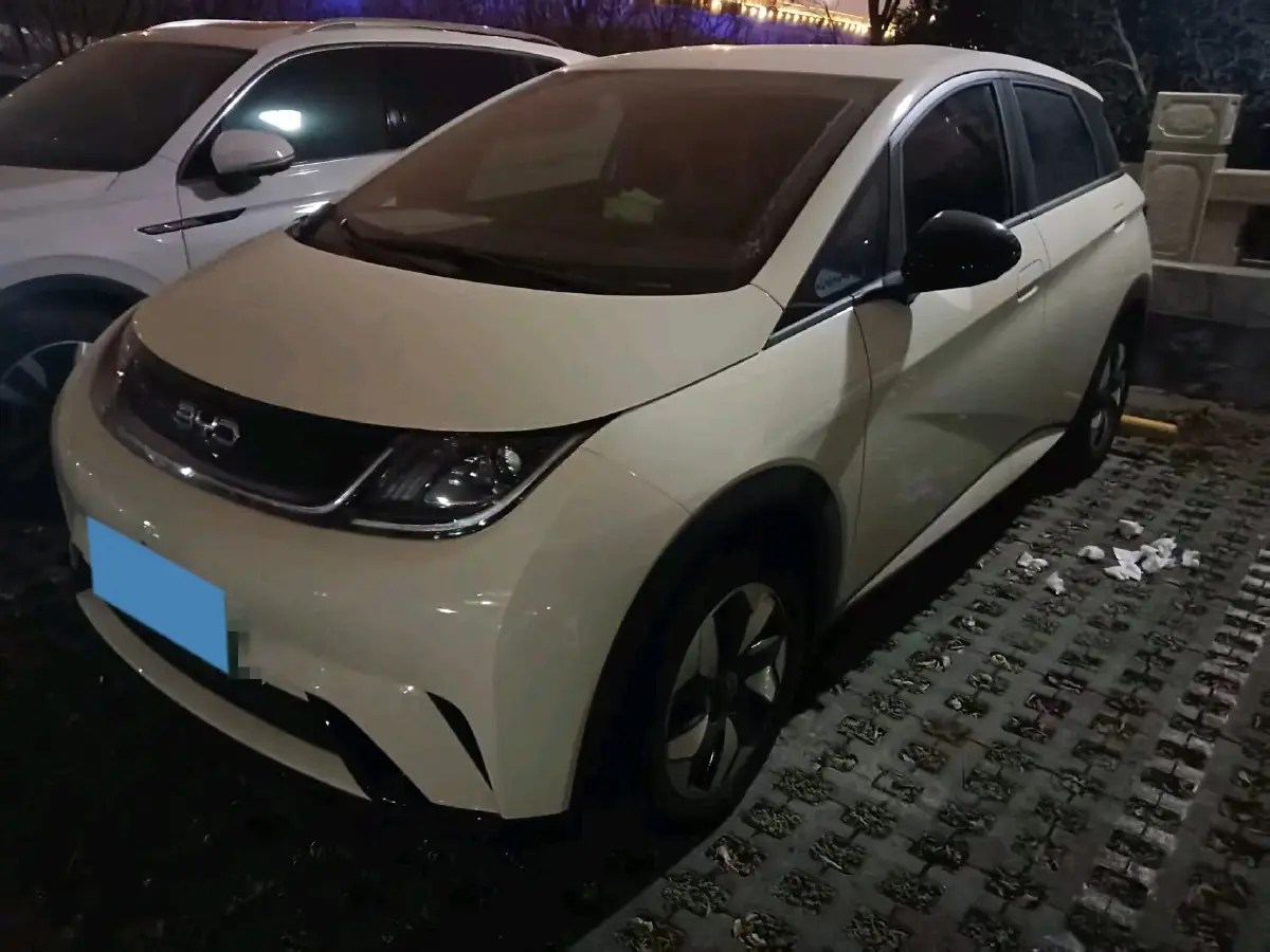 2025 BYD Dolphin BEV 44.928KWH