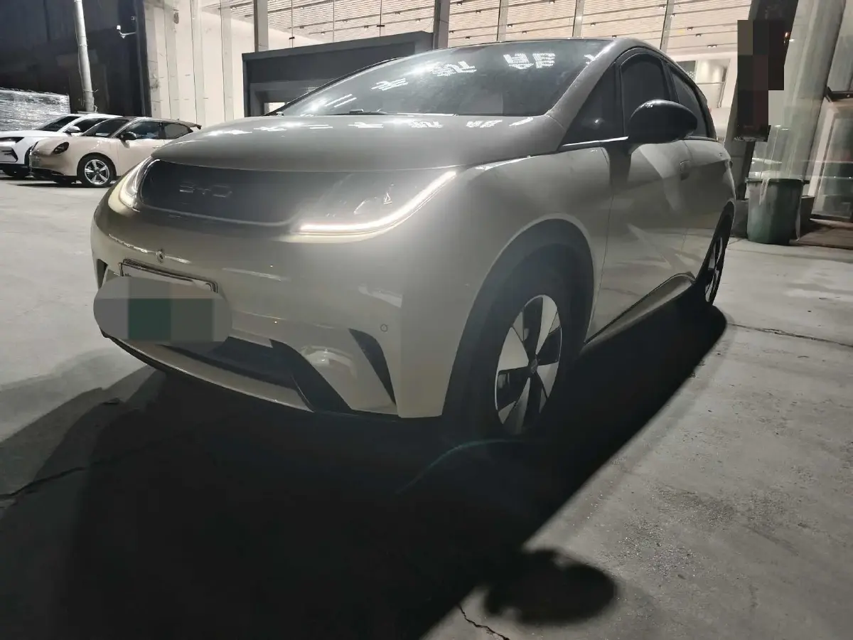 2023 BYD Dolphin BEV 44.928KWH