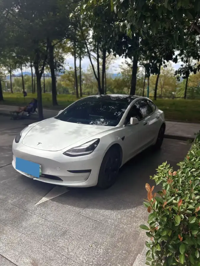 2019 Tesla Model 3 BEV 60KWH
