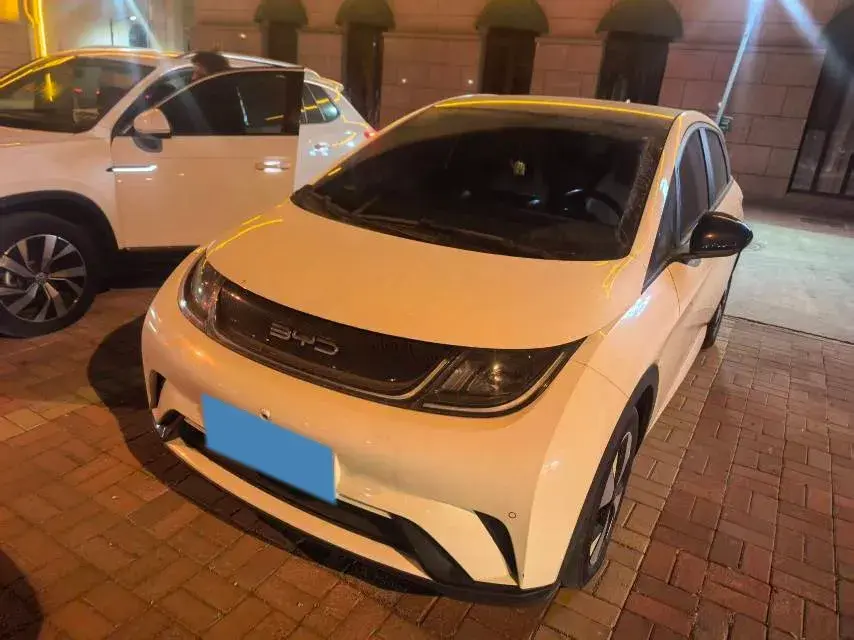 2023 BYD Dolphin BEV 44.928KWH