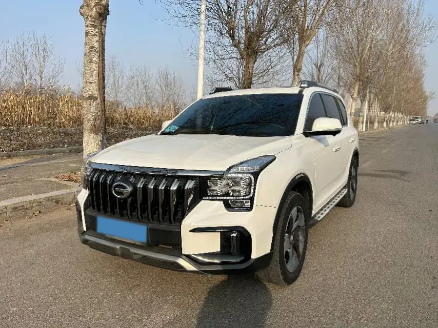 2020 GAC Trumpchi GS8 2.0T 252HP L4 6AT