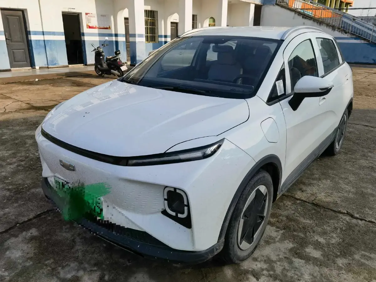 2024 Geometry E BEV 29.67KWH