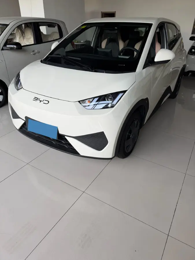 2025 BYD Seagull BEV 30.08KWH