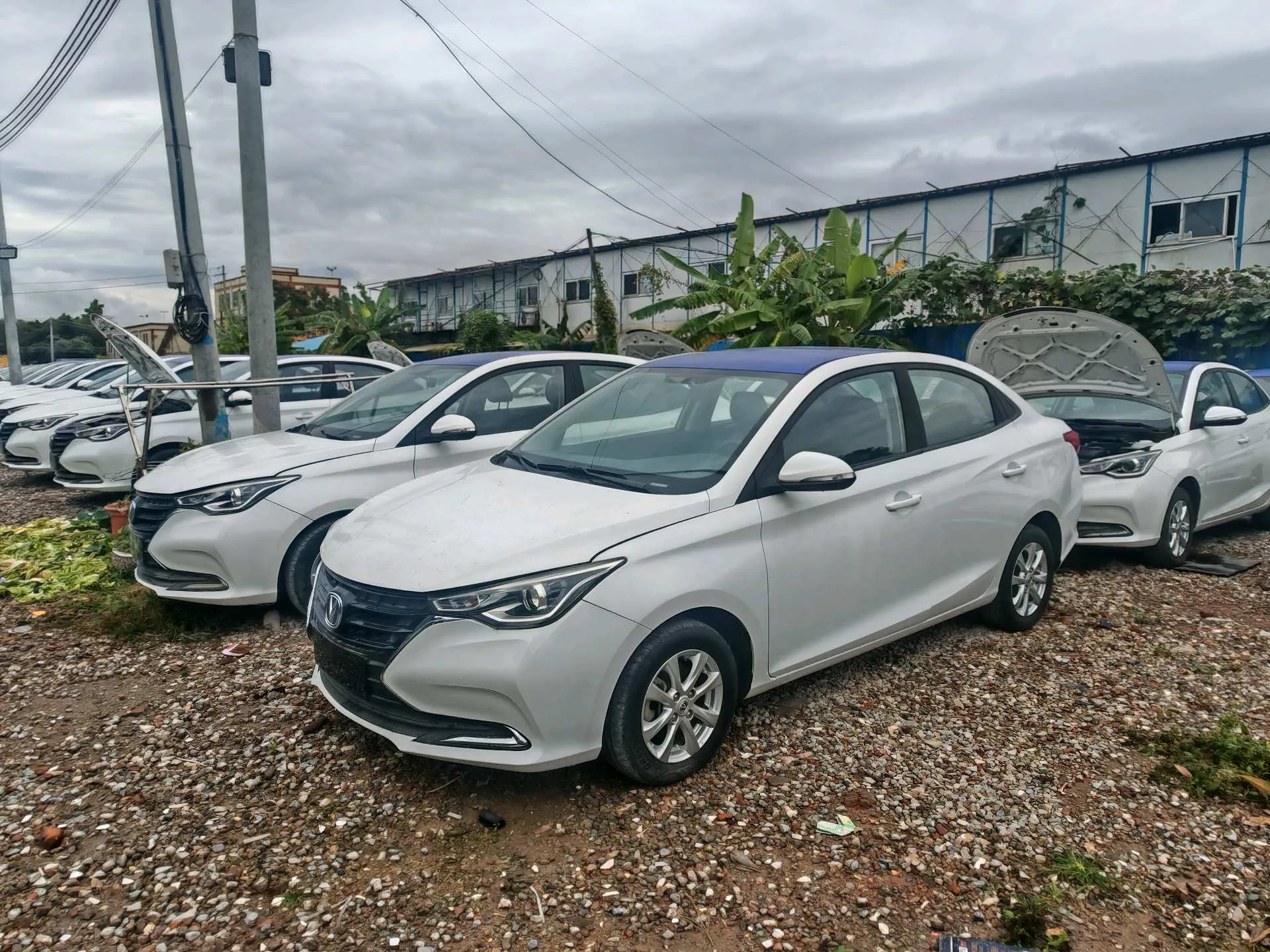 autocango,china used car exporter,china ev exporter,chinese used car exporter,chinese used ev exporter