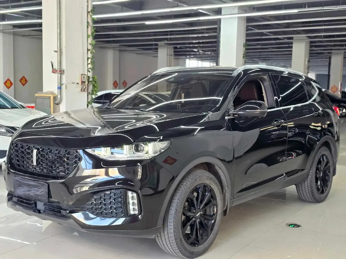 2019 WEY VV6 2.0T 224HP L4 7DCT