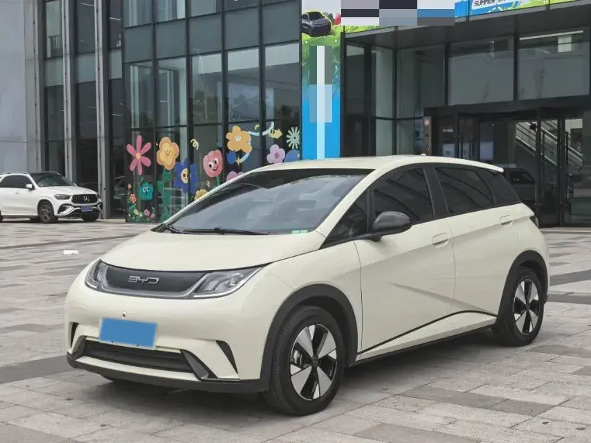 2024 BYD Dolphin BEV 44.928KWH