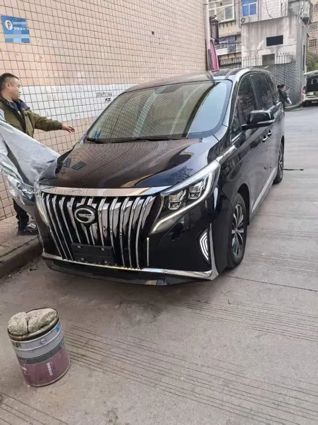 2021 GAC Trumpchi M8 2.0T 252HP L4 8AT