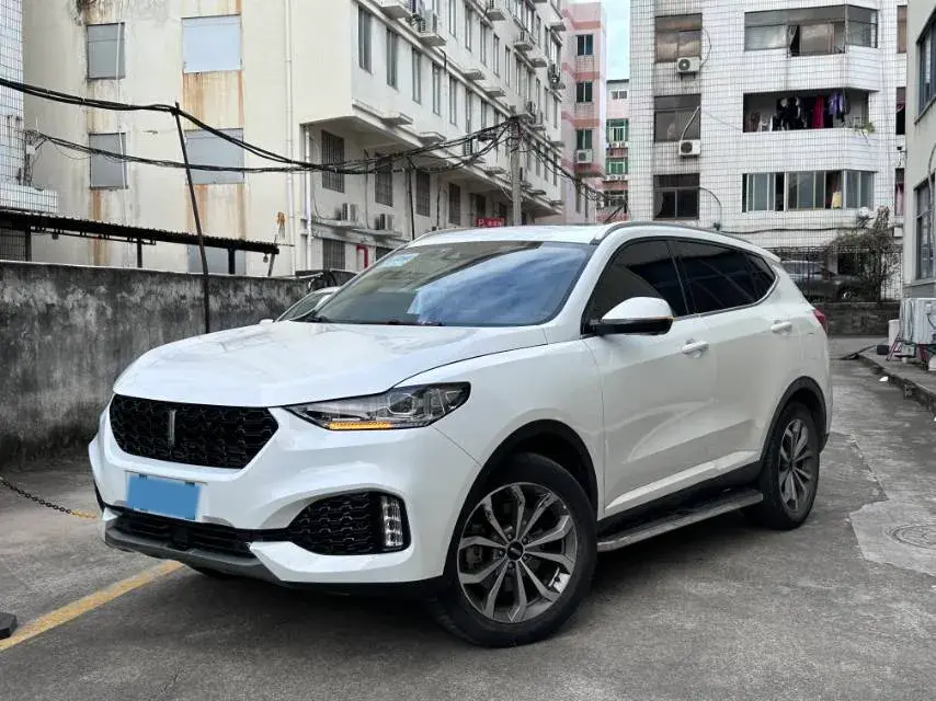 2019 WEY VV6 2.0T 224HP L4 7DCT