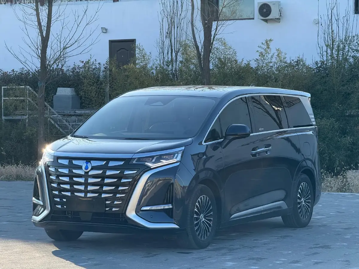 2023 Denza D9 1.5T 139HP L4 E-CVT PHEV 11.06KWH