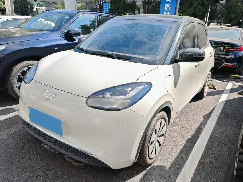 2023 WuLing BinGuo BEV 31.9KWH
