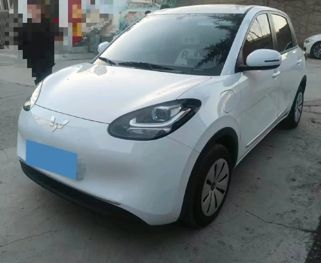 2024 WuLing BinGuo BEV 17.3KWH