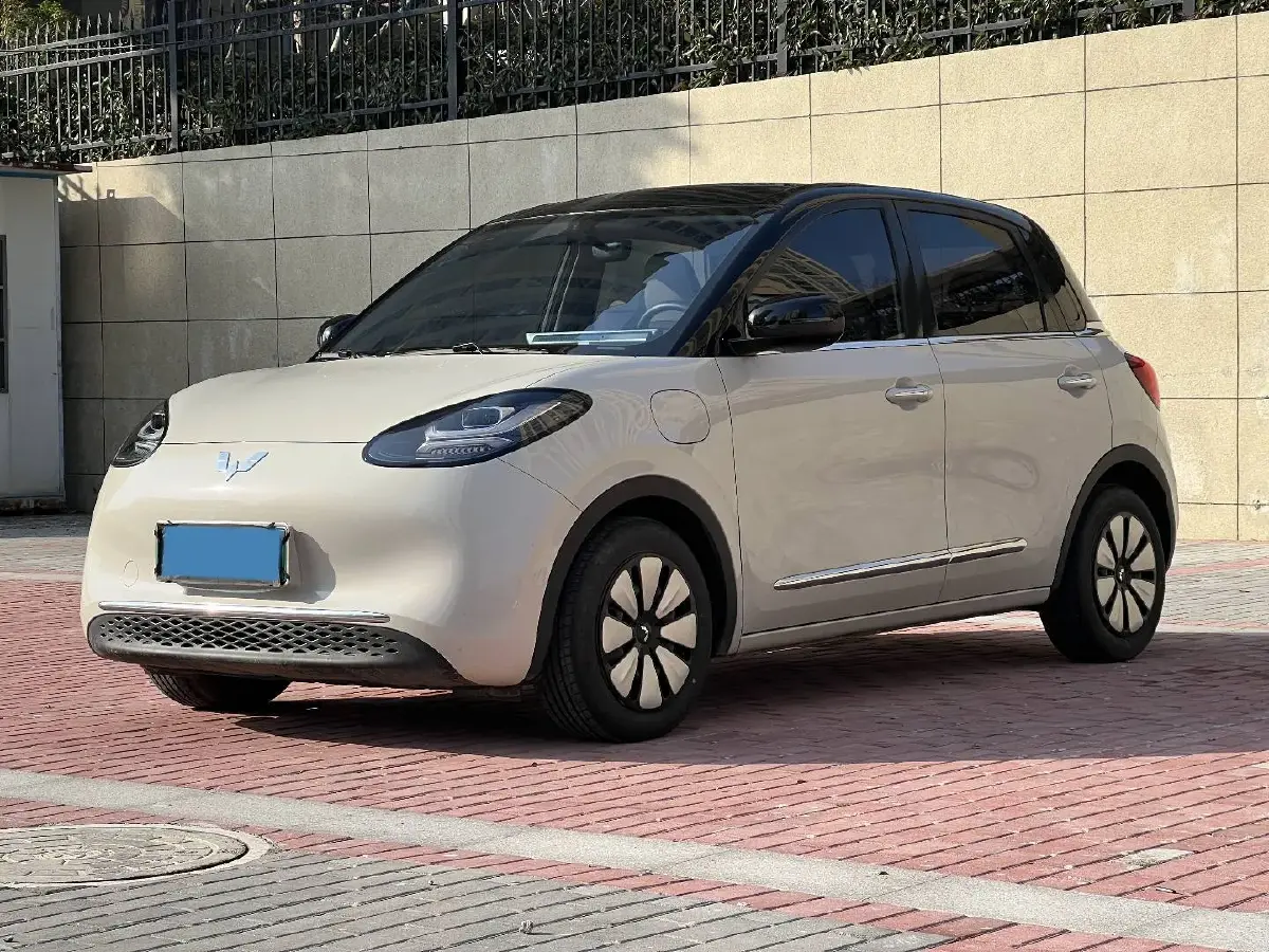 2025 WuLing BinGuo BEV