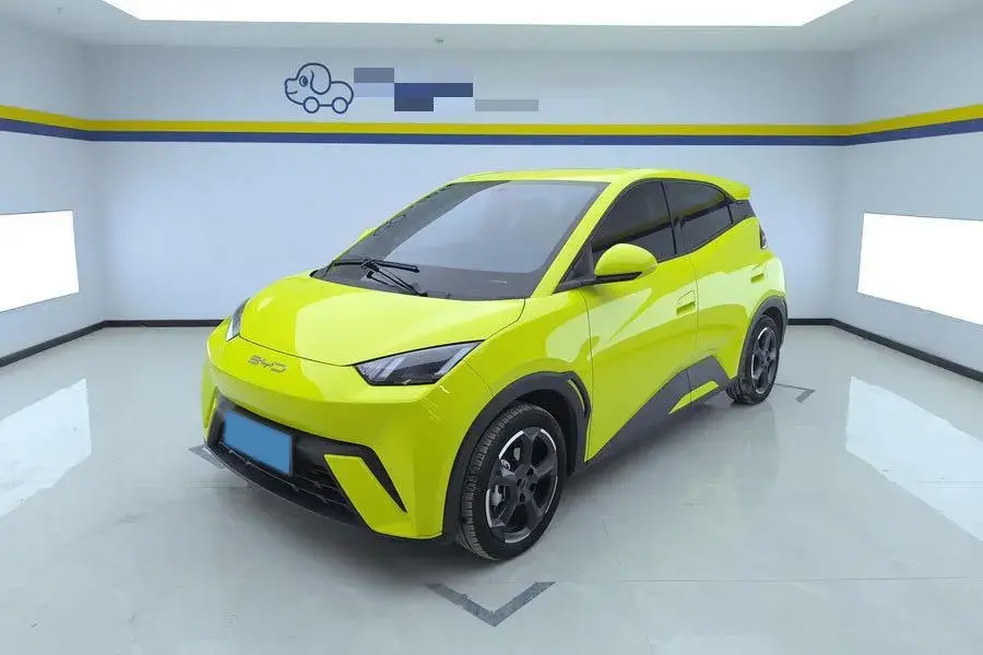 2023 BYD Yuan Pro BEV 38KWH