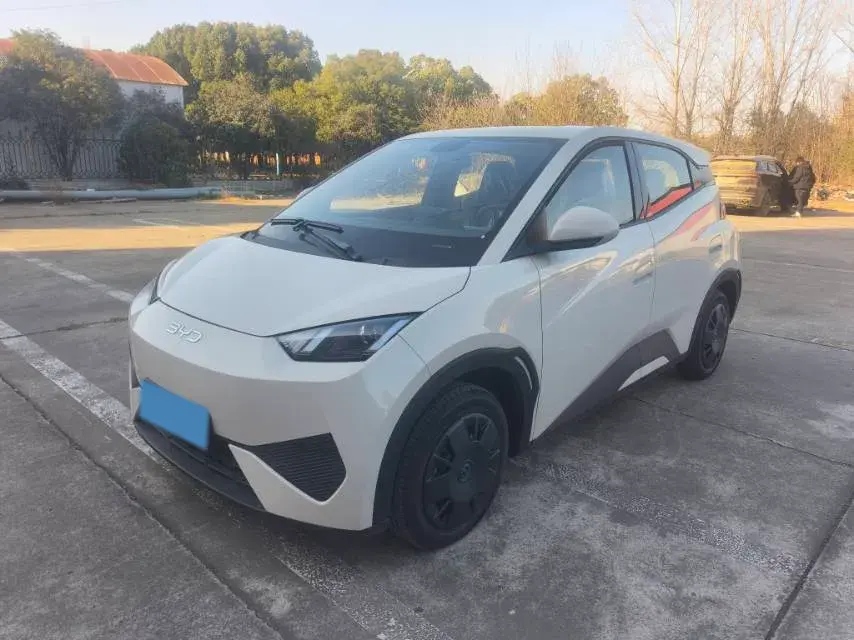 2025 BYD Seagull BEV 30.08KWH