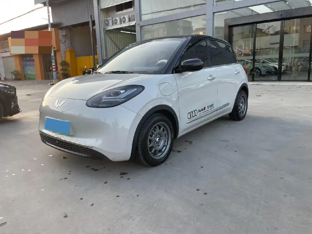 2024 WuLing BinGuo BEV 31.9KWH