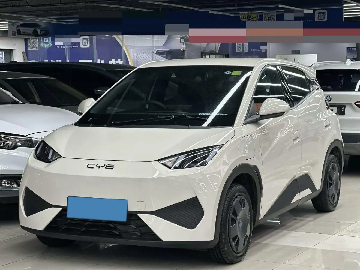 2025 BYD Seagull BEV 30.08KWH