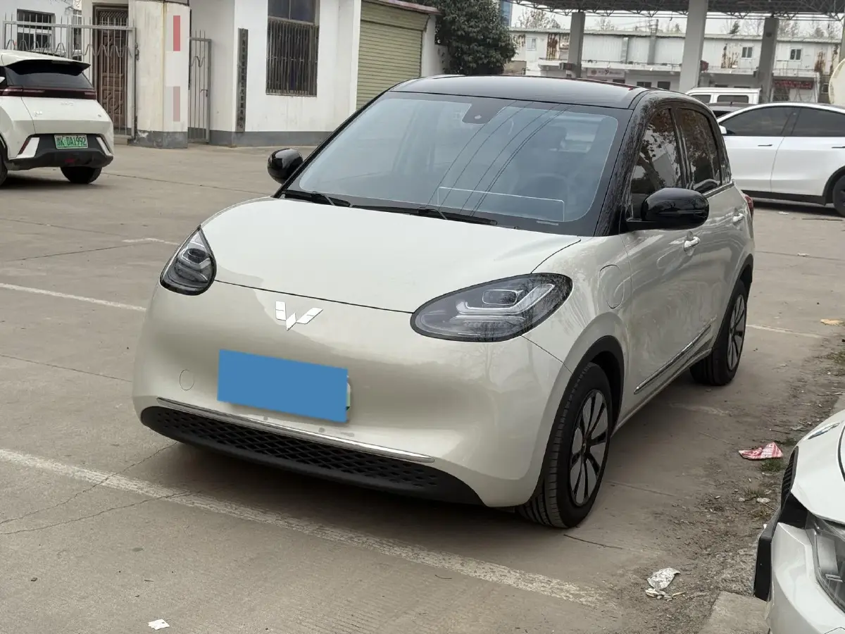 2023 WuLing BinGuo BEV 31.9KWH