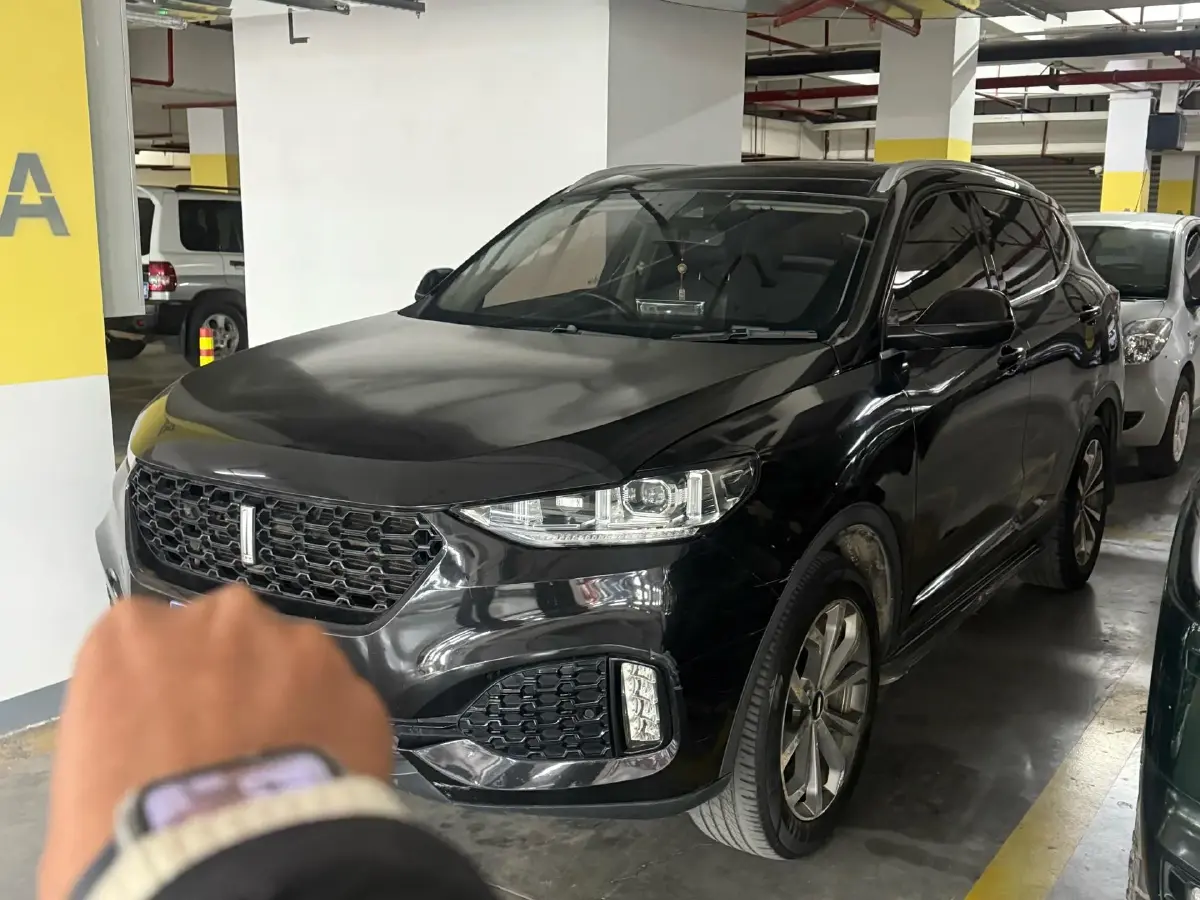 2018 WEY VV6 2.0T 197HP L4 7DCT