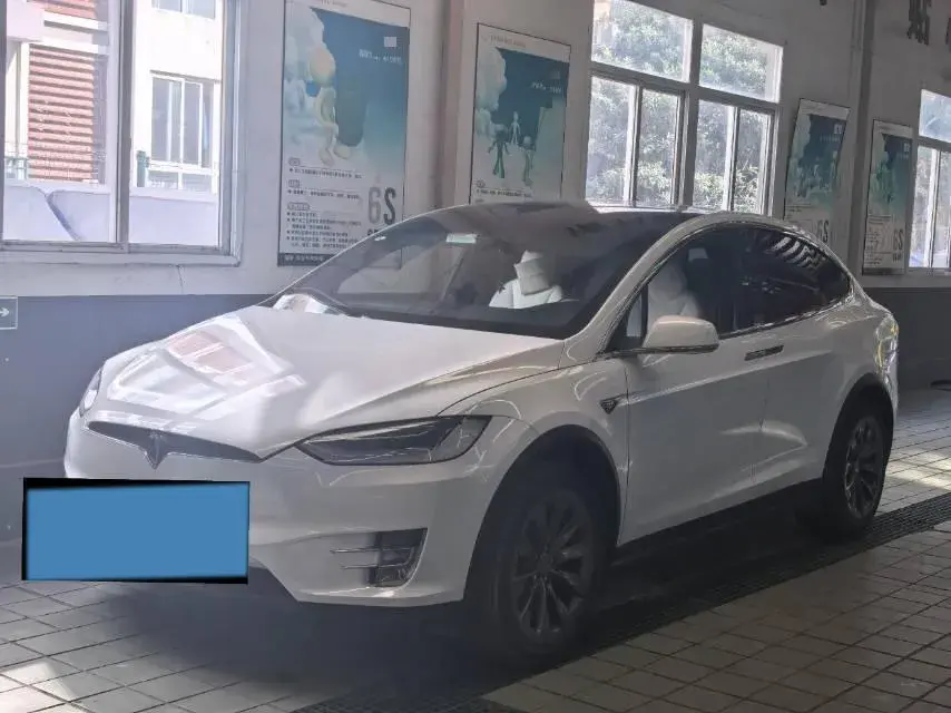 2019 Tesla Model X BEV 100KWH