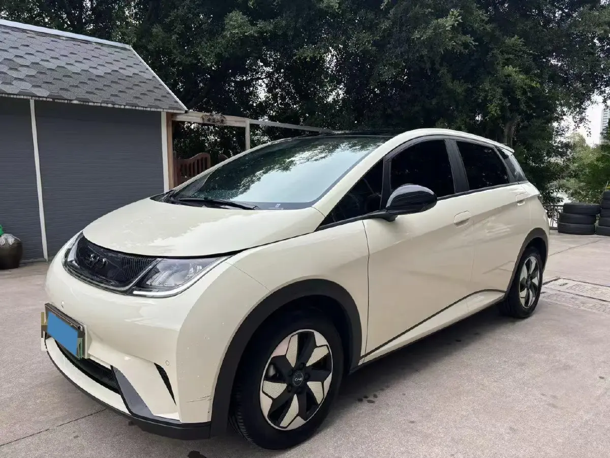 2024 BYD Dolphin BEV 44.928KWH