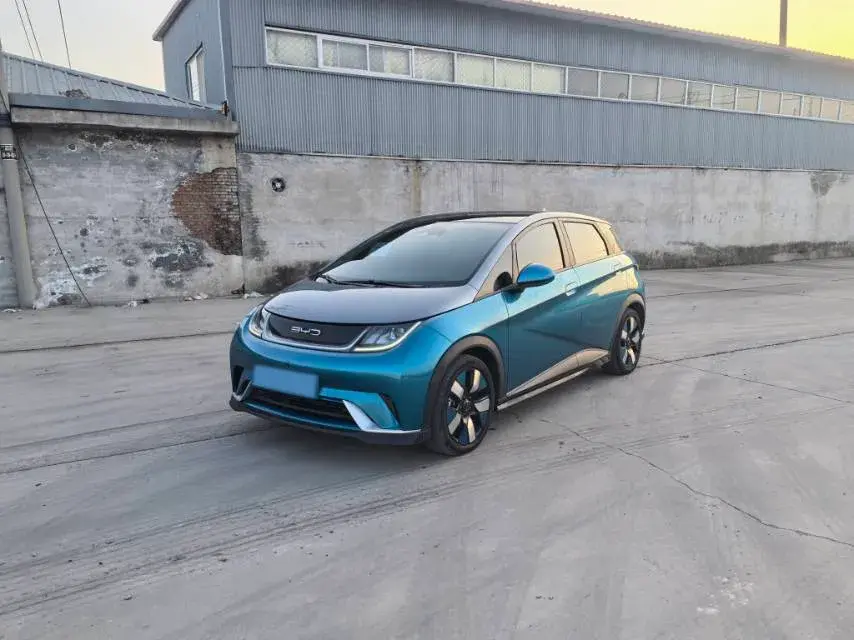 2021 BYD e2 BEV 43.2KWH