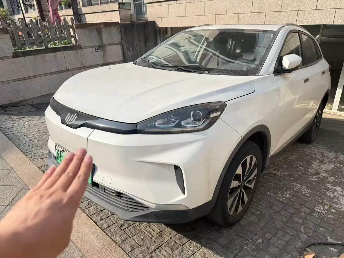 2019 Weltmeister EX5 BEV 48.08KWH