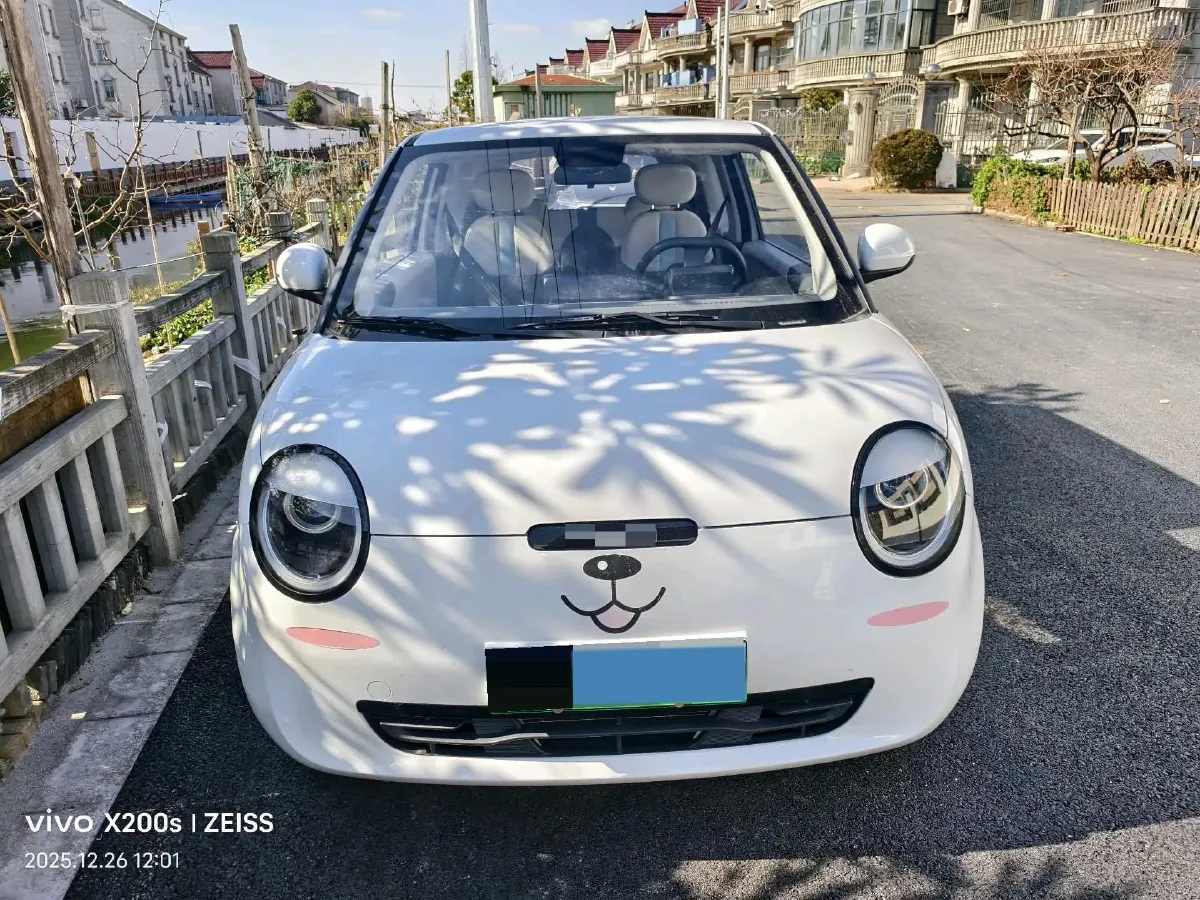 2024 ChangAn QiYuan Lumin BEV 28.08KWH,autocango,china used car exporter,china ev exporter,chinese used car exporter,chinese used ev exporter