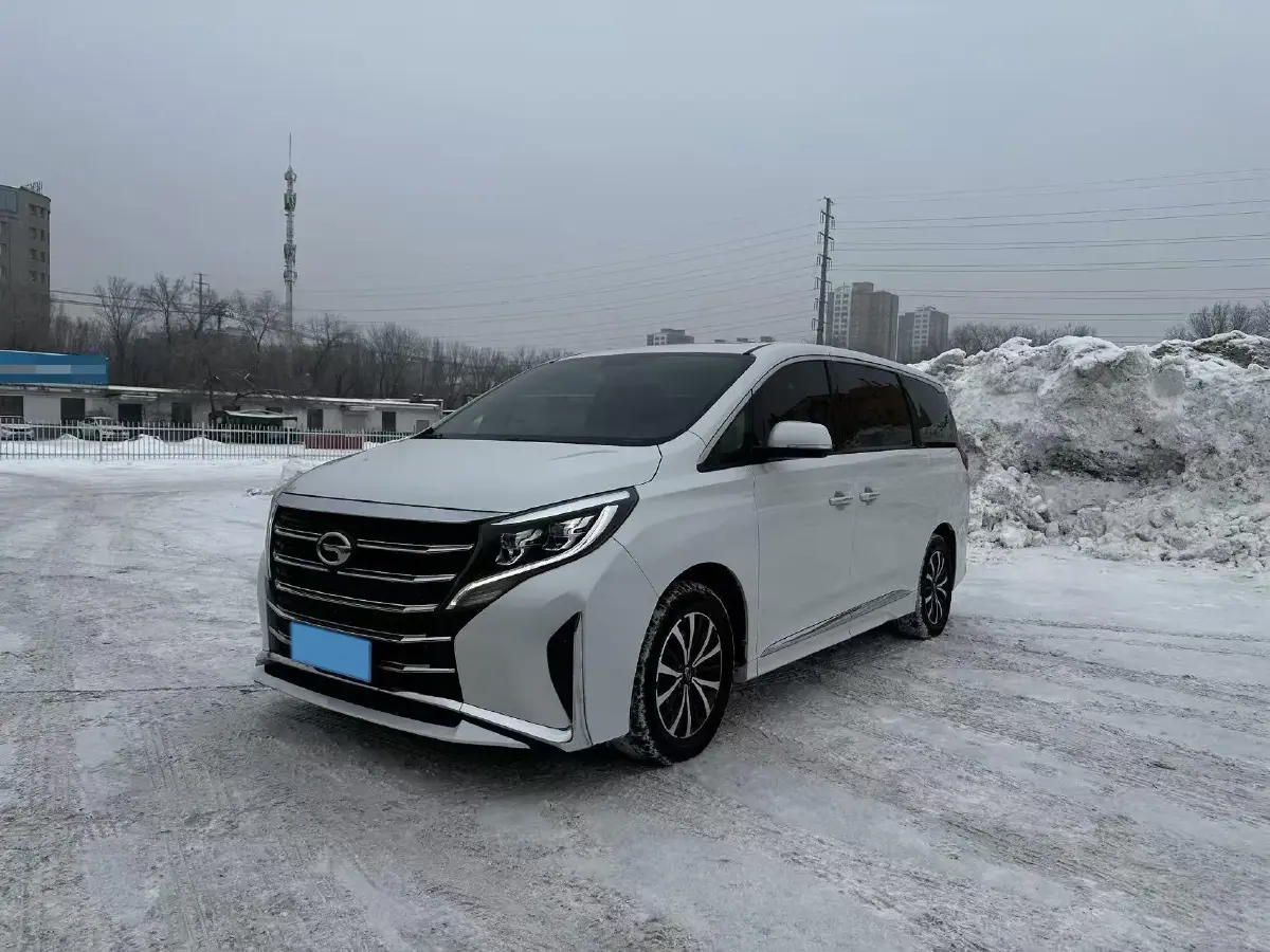 2021 GAC Trumpchi M8 2.0T 252HP L4 8AT