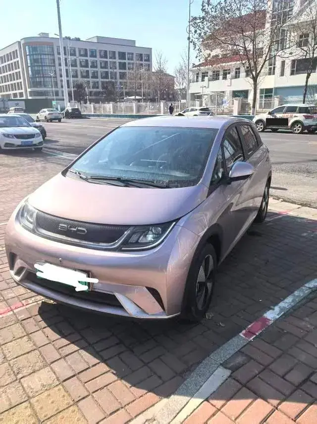 2023 BYD Dolphin BEV 44.928KWH