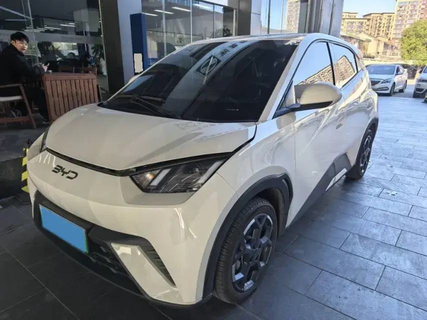 2025 BYD Seagull BEV 30.08KWH