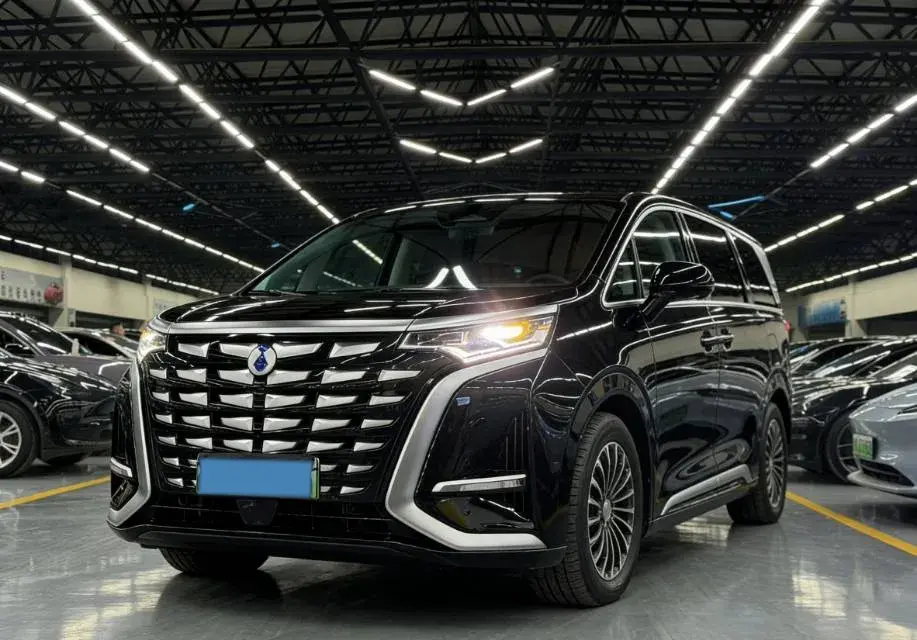 2023 Denza D9 1.5T 139HP L4 E-CVT PHEV 20.39KWH