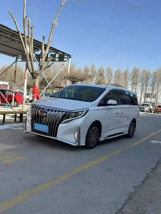 2021 GAC Trumpchi M8 2.0T 252HP L4 8AT