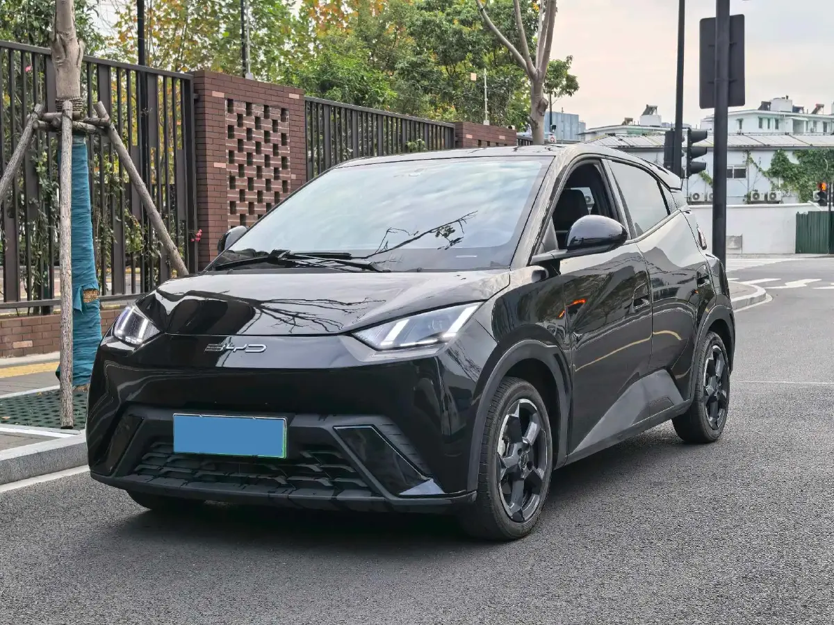 2023 BYD Yuan Pro BEV 38KWH