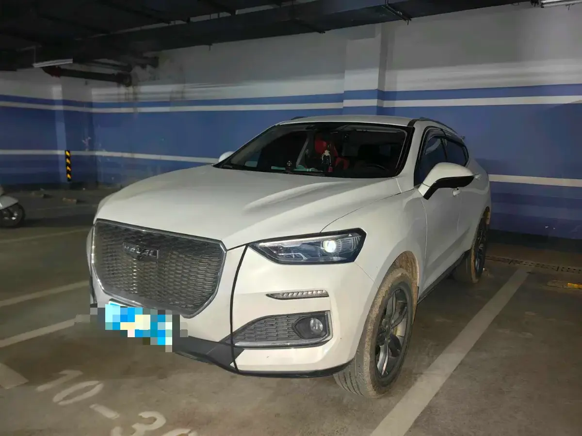 2019 Haval F5 1.5T 169HP L4 7DCT