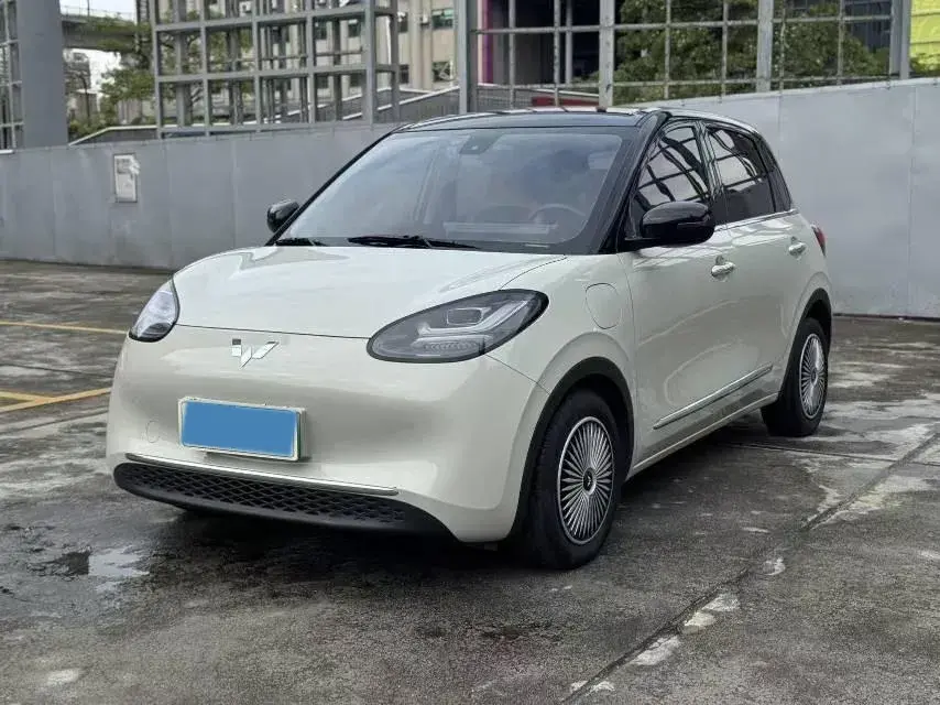 2023 WuLing BinGuo BEV 31.9KWH