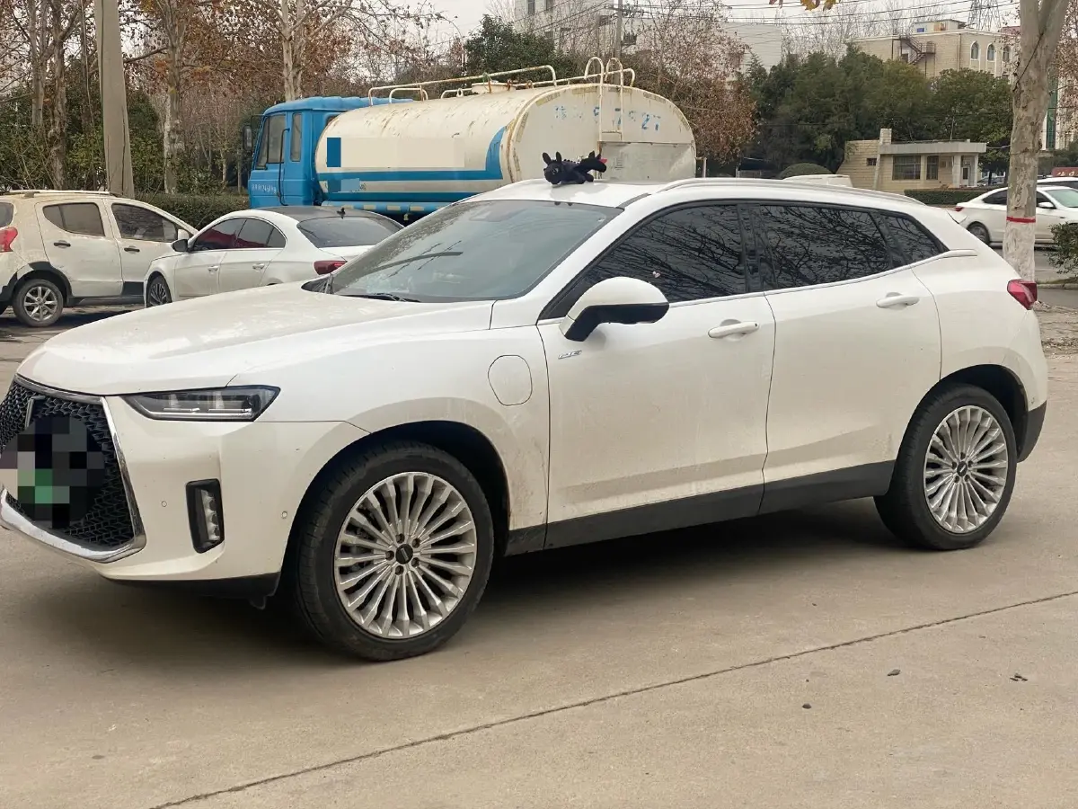 2018 WEY P8 2.0T 234HP L4 6DCT PHEV 12.96KWH