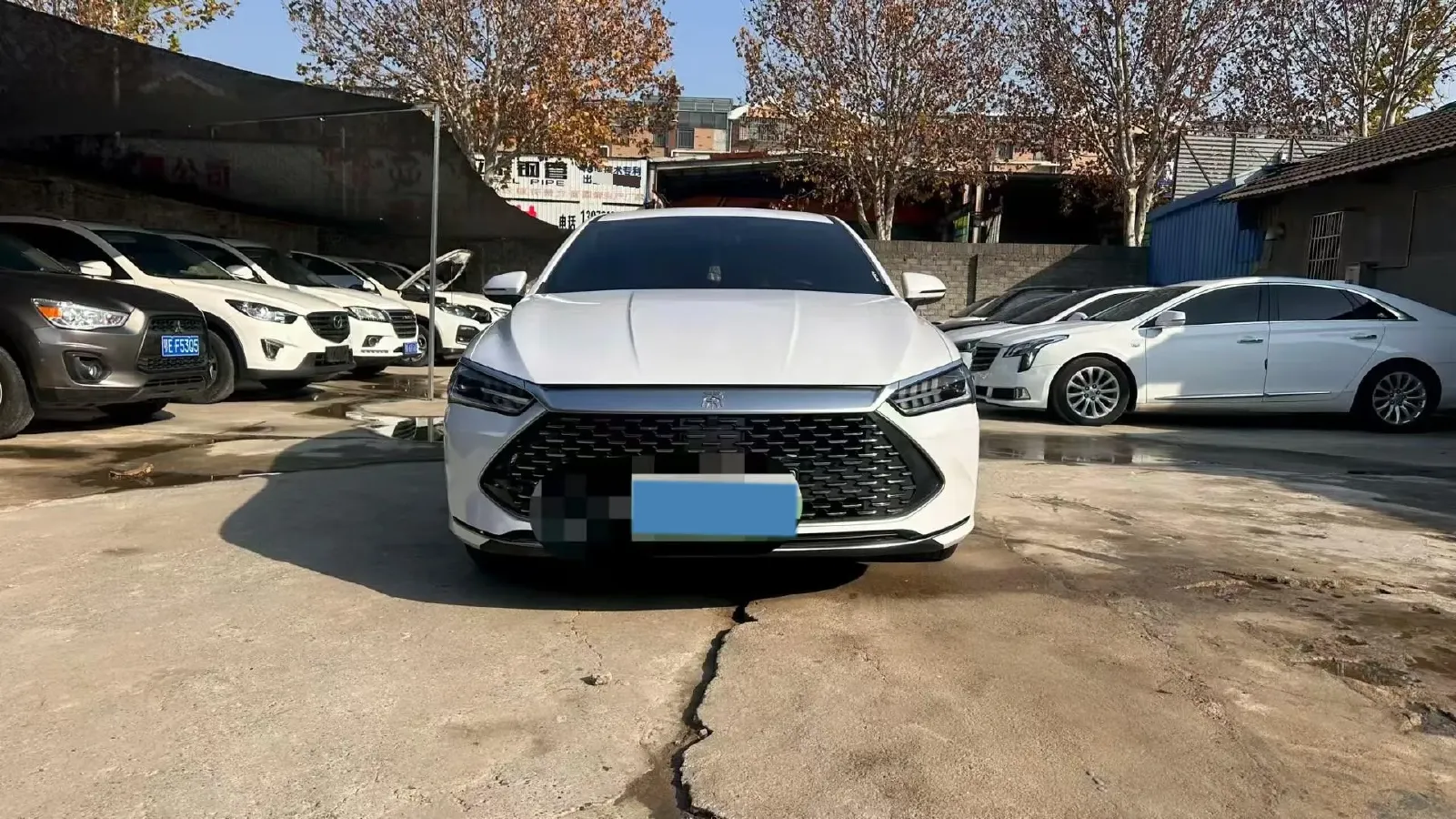 2024 BYD Qin Plus 1.5L 110HP L4 E-CVT PHEV 8.32KWH,autocango,china used car exporter,china ev exporter,chinese used car exporter,chinese used ev exporter