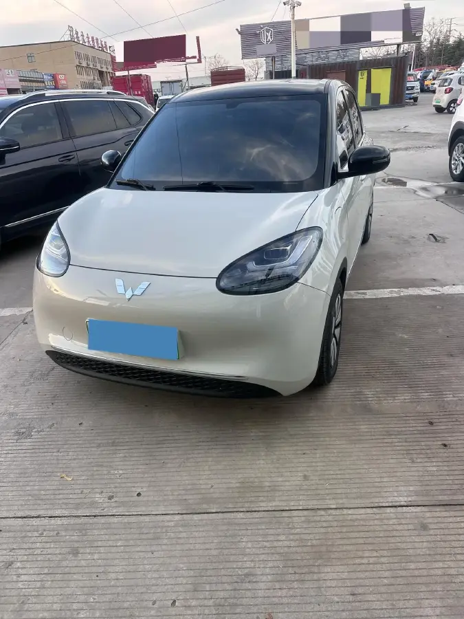 2024 WuLing BinGuo BEV 31.9KWH