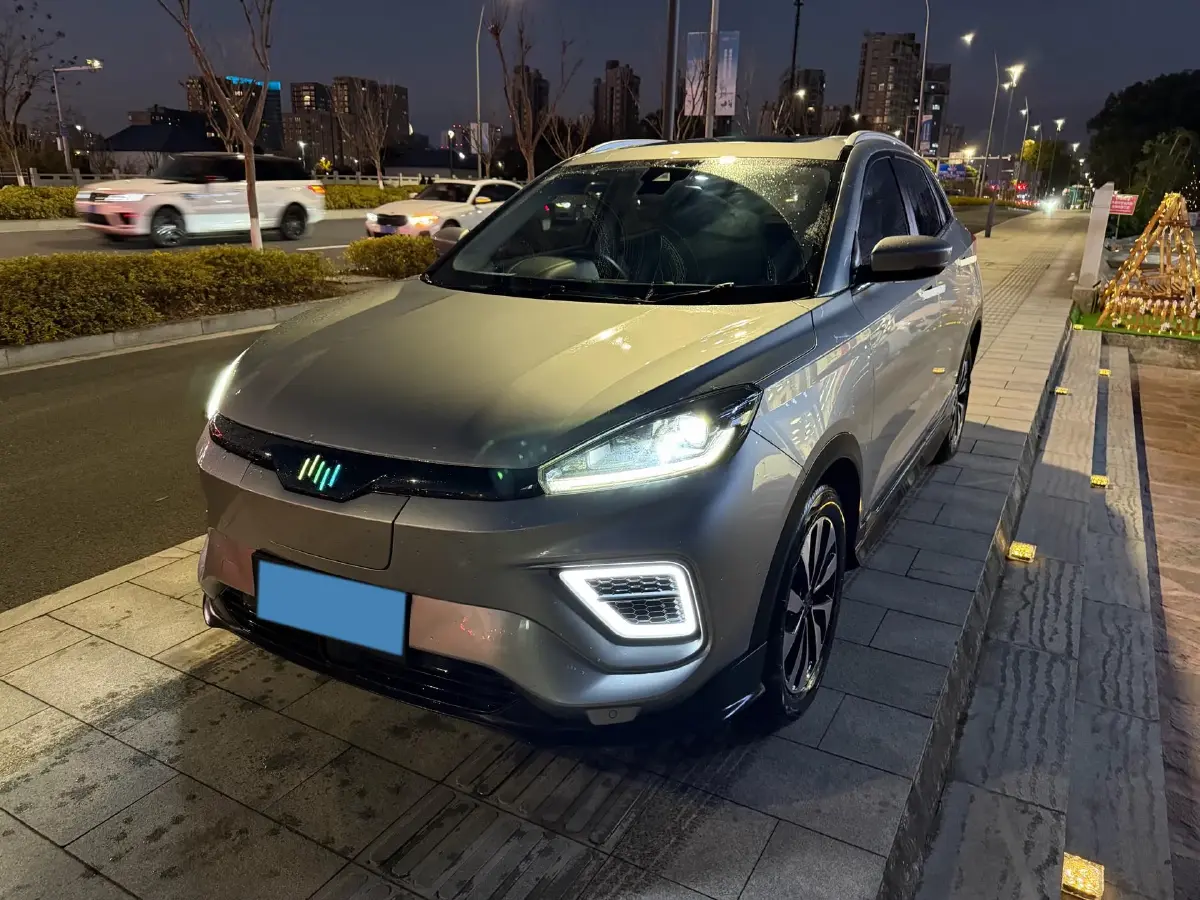 2020 Weltmeister EX5 BEV 69KWH