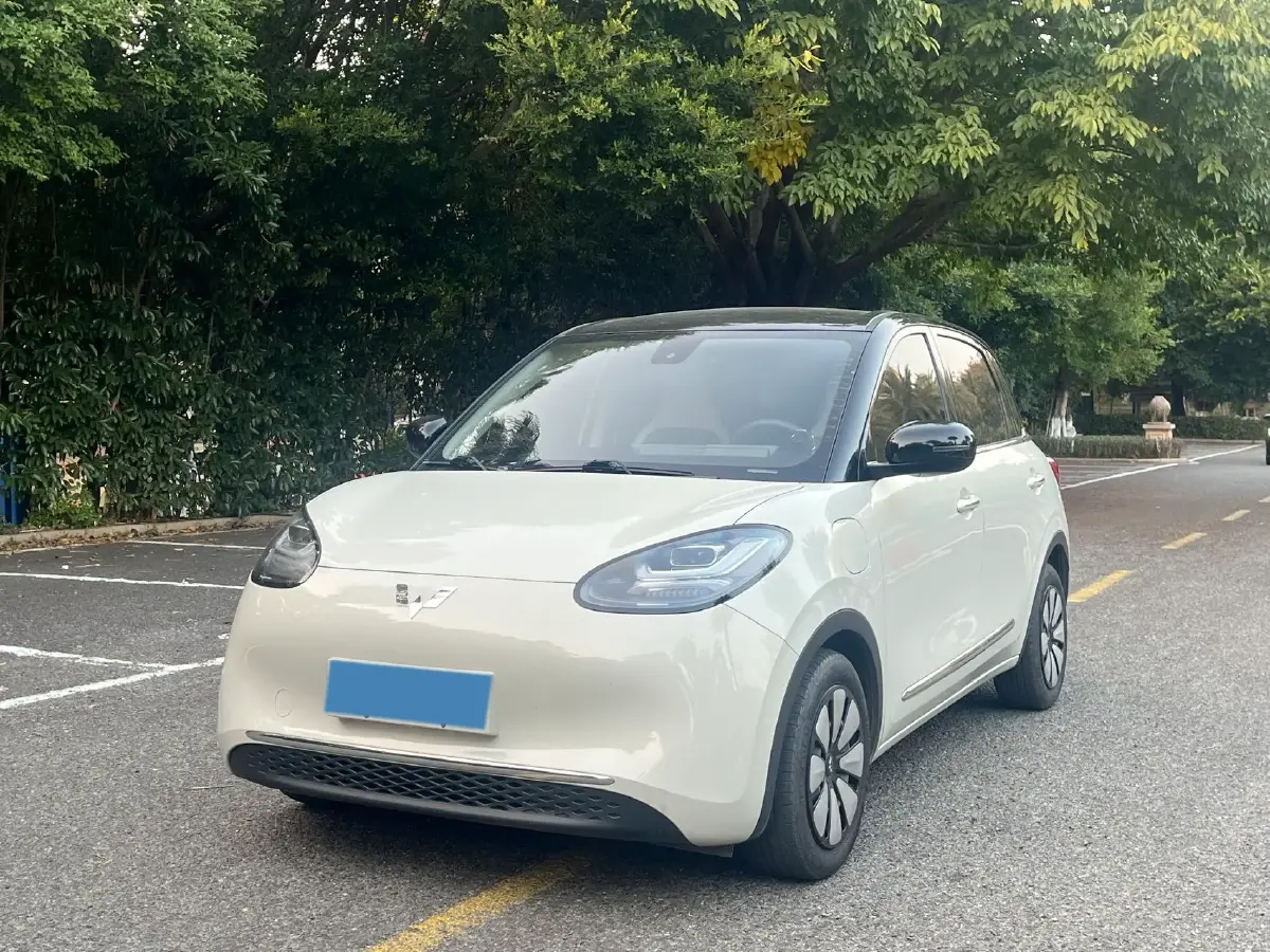 2023 WuLing BinGuo BEV 31.9KWH